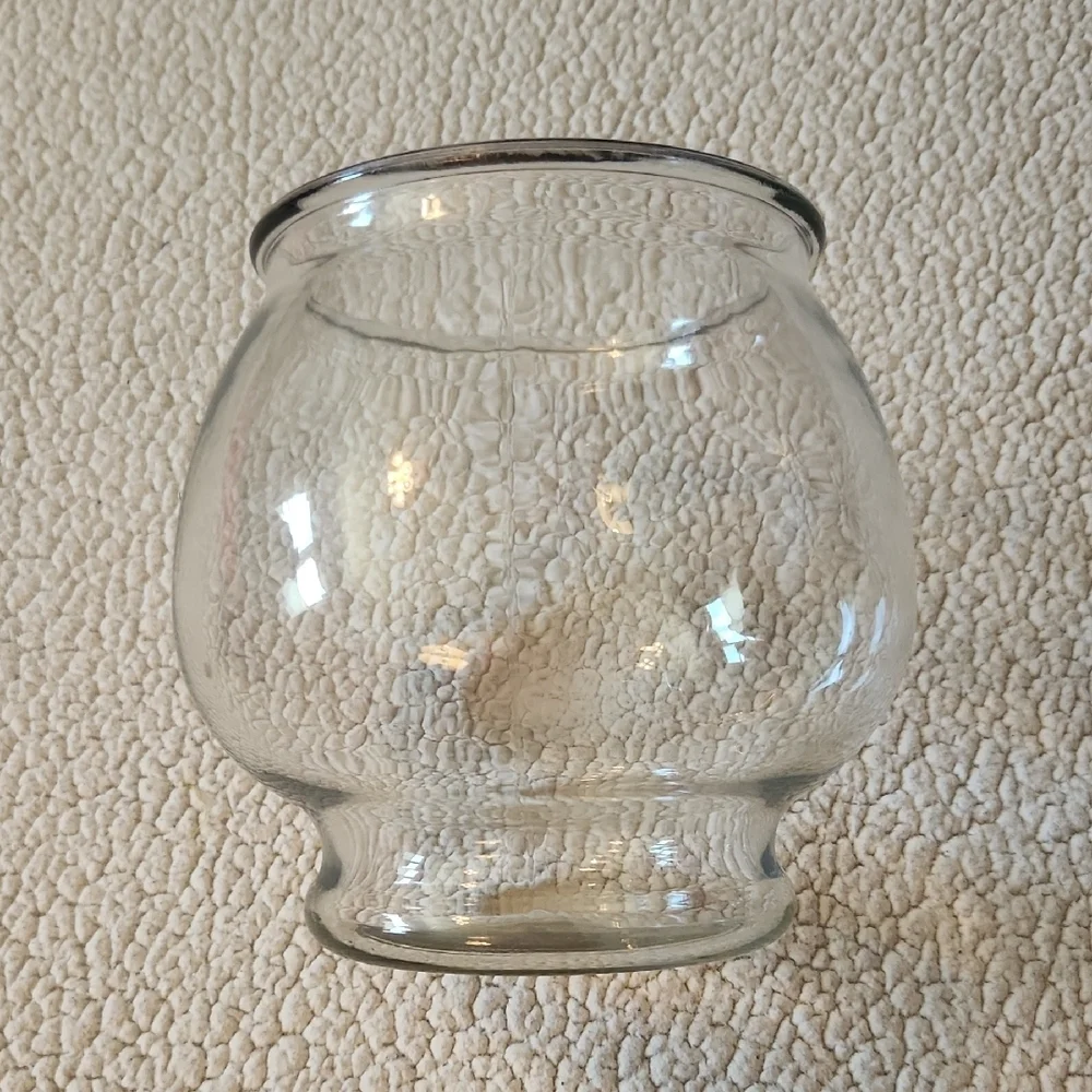 Vibrant Life Footed Glass Fish Bowl